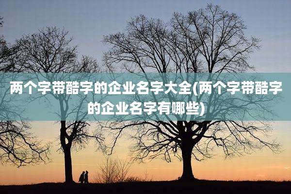 两个字带酷字的企业名字大全(两个字带酷字的企业名字有哪些)