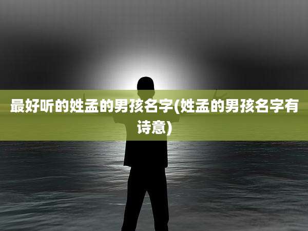 最好听的姓孟的男孩名字(姓孟的男孩名字有诗意)