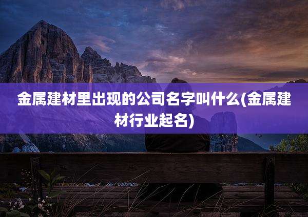 金属建材里出现的公司名字叫什么(金属建材行业起名)