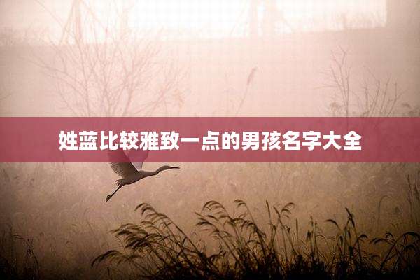 姓蓝比较雅致一点的男孩名字大全