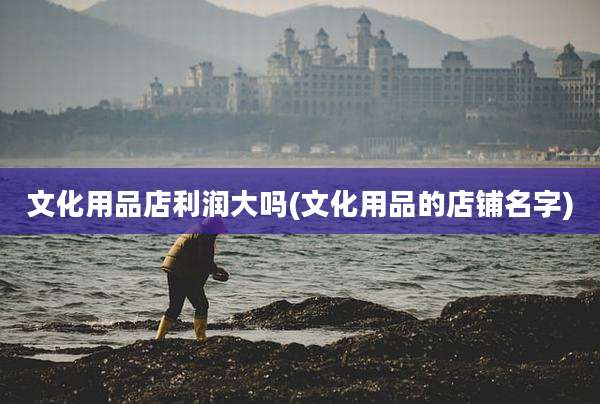 文化用品店利润大吗(文化用品的店铺名字)