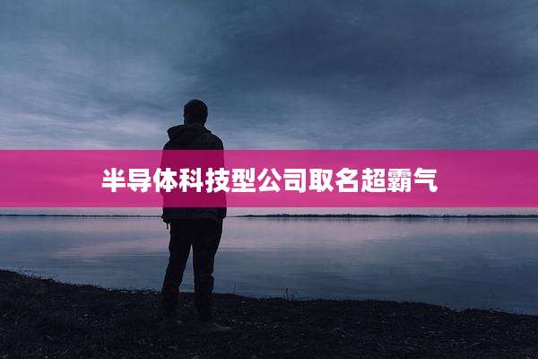 半导体科技型公司取名超霸气