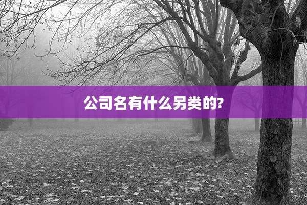 公司名有什么另类的?