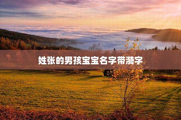姓张的男孩宝宝名字带漪字