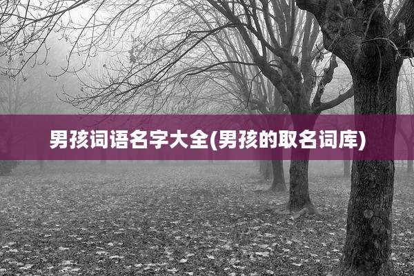 男孩词语名字大全(男孩的取名词库)