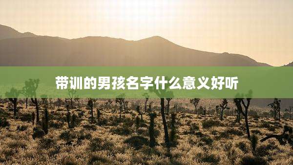 带训的男孩名字什么意义好听