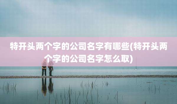 特开头两个字的公司名字有哪些(特开头两个字的公司名字怎么取)
