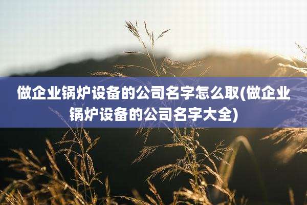 做企业锅炉设备的公司名字怎么取(做企业锅炉设备的公司名字大全)