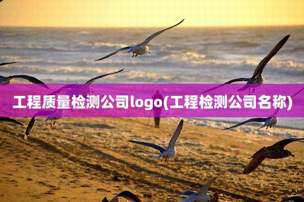 工程质量检测公司logo(工程检测公司名称)