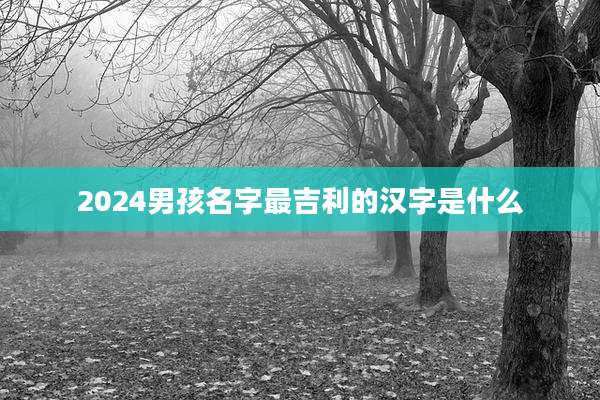 2024男孩名字最吉利的汉字是什么