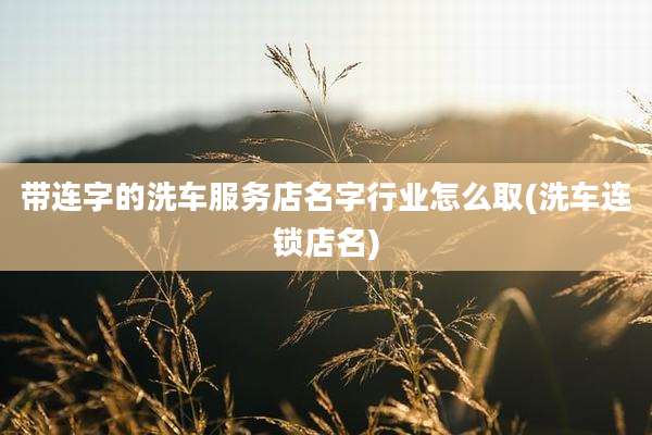 带连字的洗车服务店名字行业怎么取(洗车连锁店名)