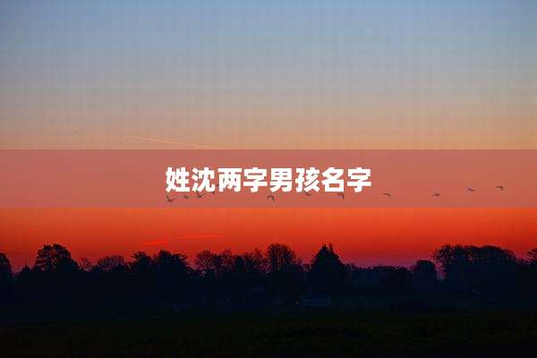姓沈两字男孩名字