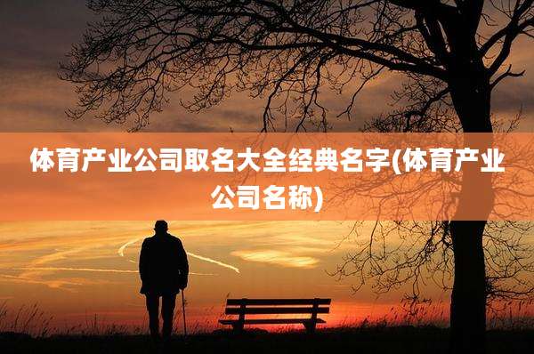 体育产业公司取名大全经典名字(体育产业公司名称)