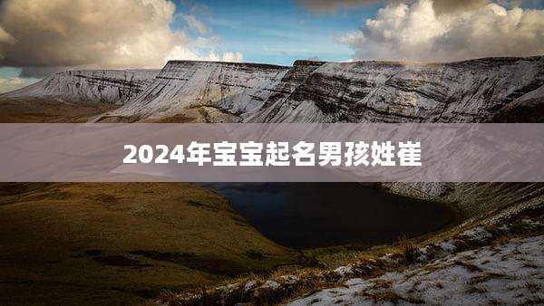 2024年宝宝起名男孩姓崔