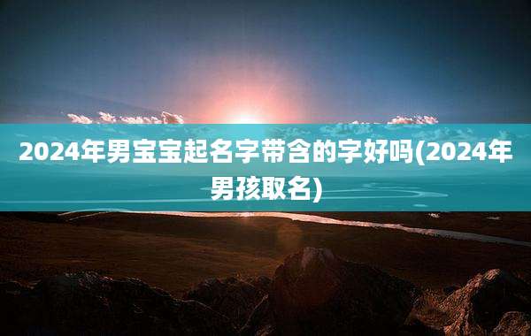 2024年男宝宝起名字带含的字好吗(2024年男孩取名)