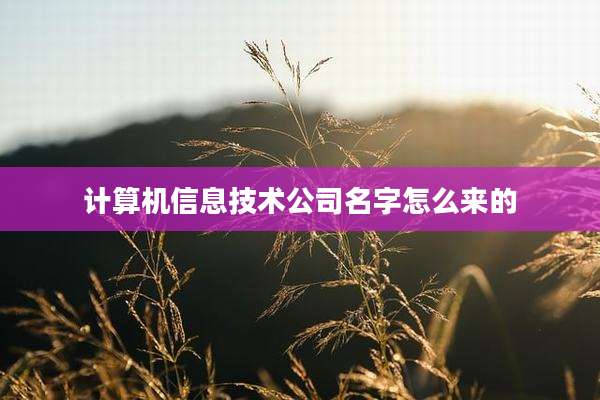 计算机信息技术公司名字怎么来的
