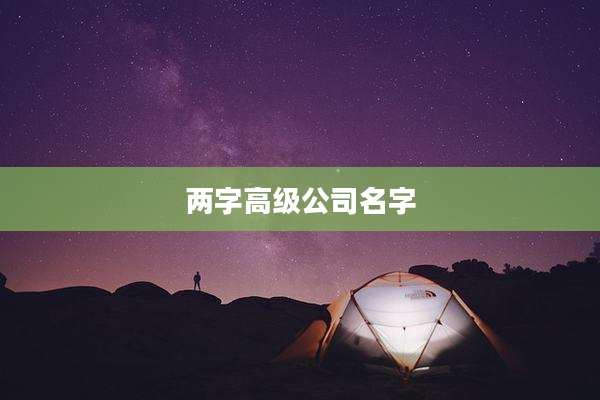 两字高级公司名字