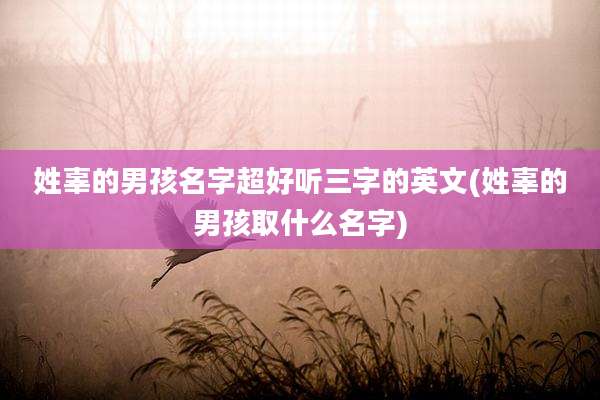 姓辜的男孩名字超好听三字的英文(姓辜的男孩取什么名字)