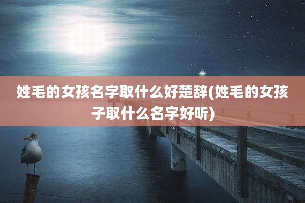 姓毛的女孩名字取什么好楚辞(姓毛的女孩子取什么名字好听)