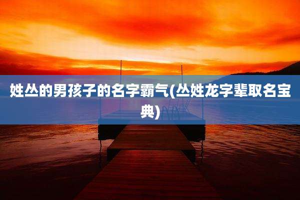 姓丛的男孩子的名字霸气(丛姓龙字辈取名宝典)