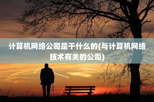 计算机网络公司是干什么的(与计算机网络技术有关的公司)