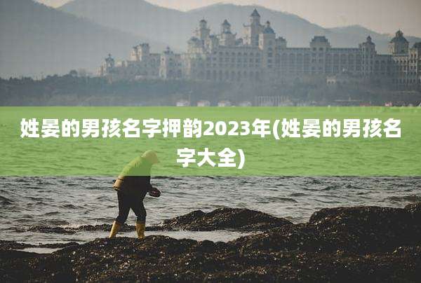 姓晏的男孩名字押韵2023年(姓晏的男孩名字大全)