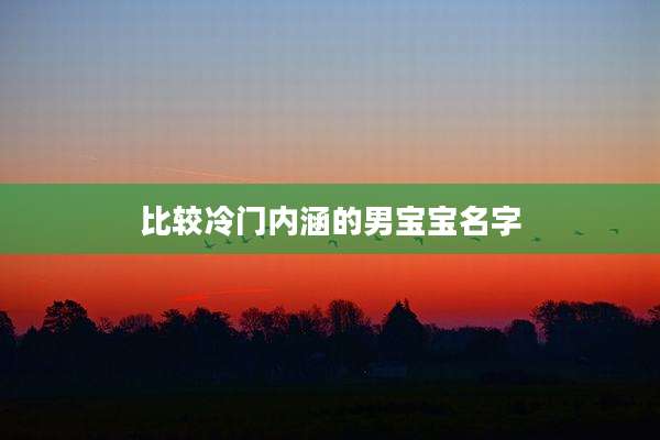 比较冷门内涵的男宝宝名字