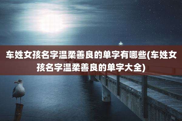 车姓女孩名字温柔善良的单字有哪些(车姓女孩名字温柔善良的单字大全)