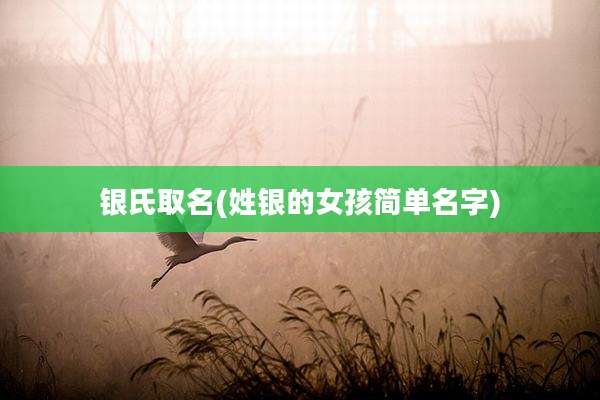 银氏取名(姓银的女孩简单名字)