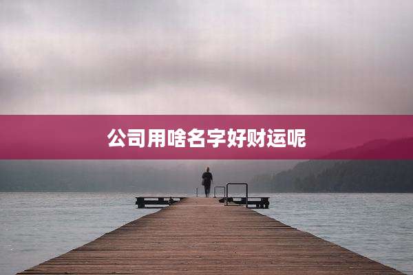 公司用啥名字好财运呢