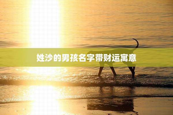 姓沙的男孩名字带财运寓意
