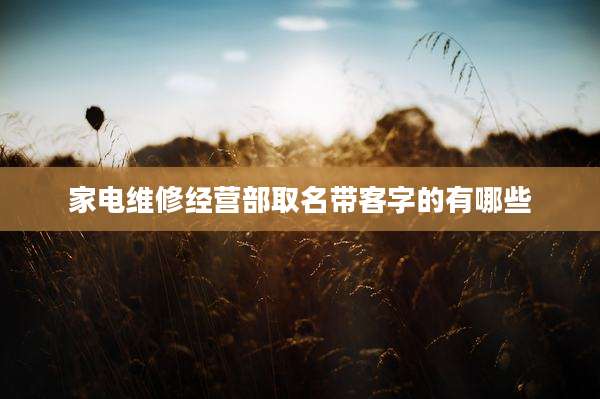 家电维修经营部取名带客字的有哪些