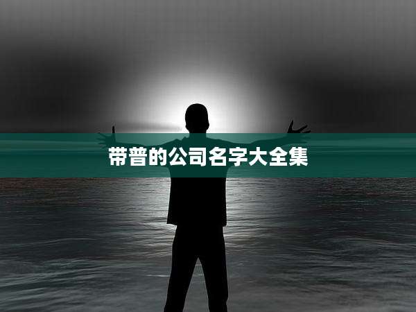 带普的公司名字大全集