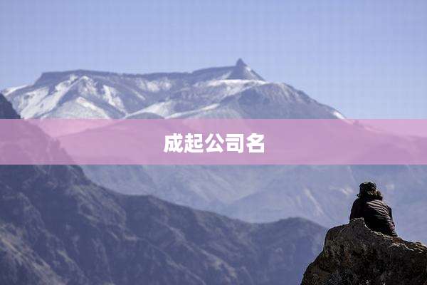 成起公司名