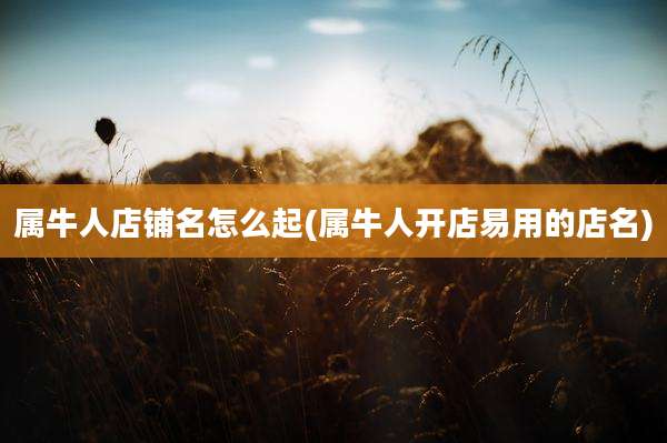属牛人店铺名怎么起(属牛人开店易用的店名)