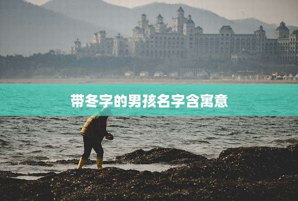 带冬字的男孩名字含寓意