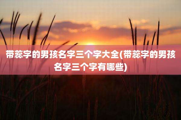 带蕊字的男孩名字三个字大全(带蕊字的男孩名字三个字有哪些)
