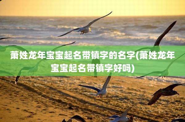萧姓龙年宝宝起名带镇字的名字(萧姓龙年宝宝起名带镇字好吗)