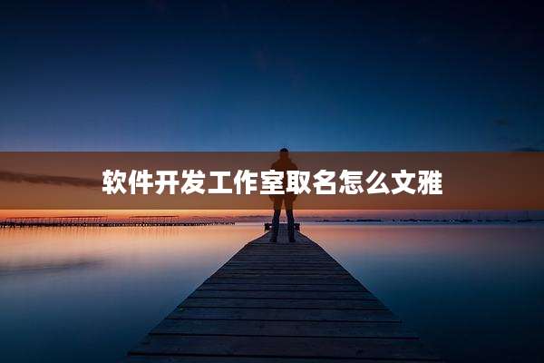 软件开发工作室取名怎么文雅