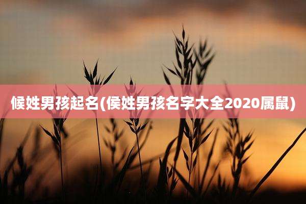 候姓男孩起名(侯姓男孩名字大全2020属鼠)