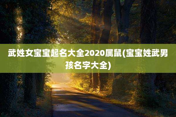 武姓女宝宝起名大全2020属鼠(宝宝姓武男孩名字大全)