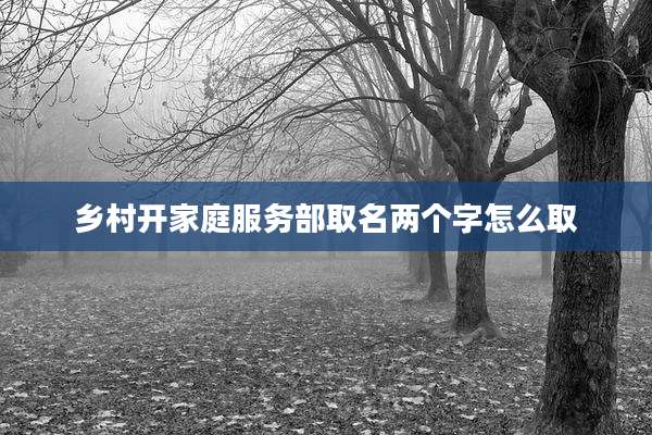 乡村开家庭服务部取名两个字怎么取