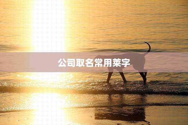 公司取名常用莱字