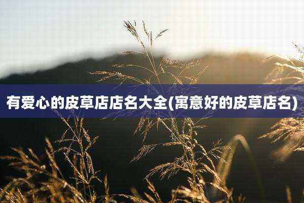 有爱心的皮草店店名大全(寓意好的皮草店名)