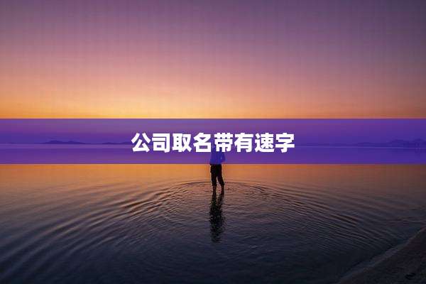 公司取名带有速字