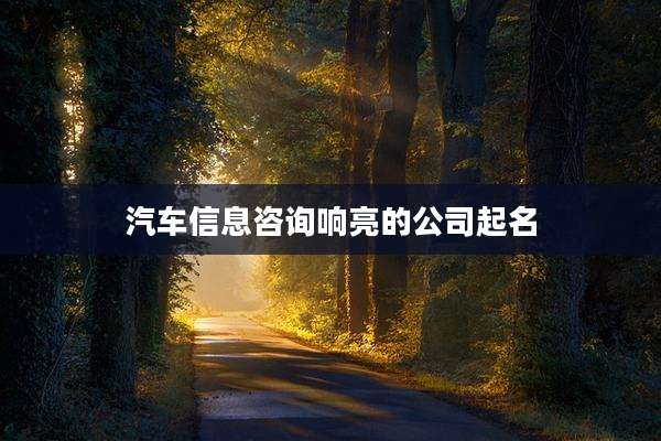 汽车信息咨询响亮的公司起名