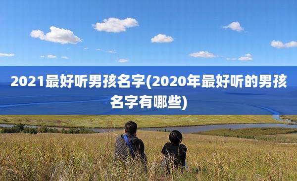 2021最好听男孩名字(2020年最好听的男孩名字有哪些)