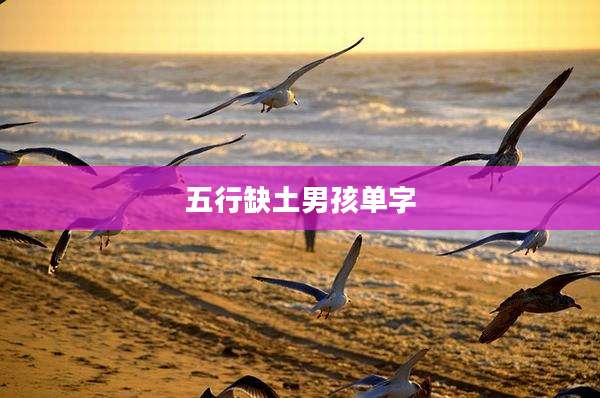 五行缺土男孩单字