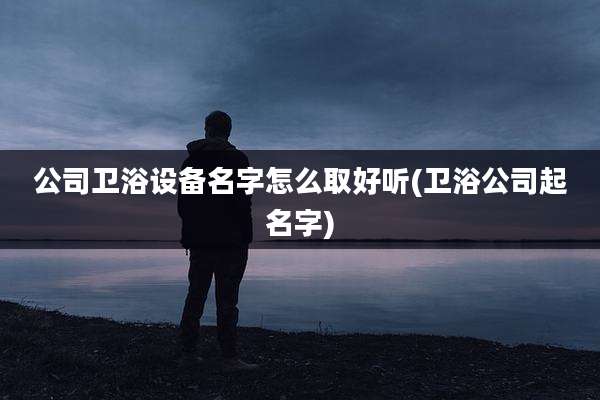 公司卫浴设备名字怎么取好听(卫浴公司起名字)