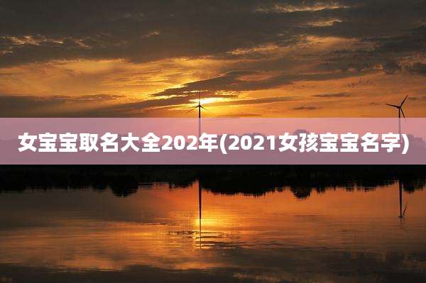 女宝宝取名大全202年(2021女孩宝宝名字)